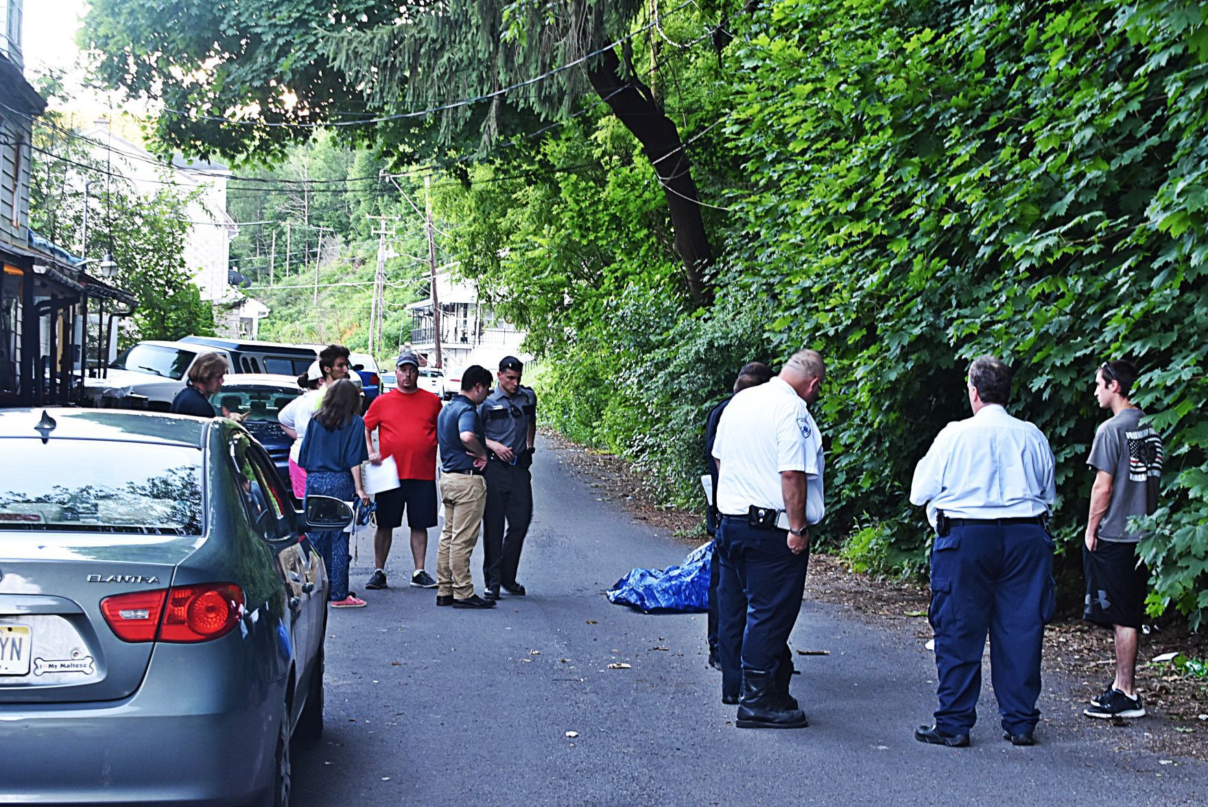 303 S. Rock St. pit bull attack